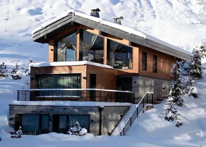 De Luxe Skis Aux Pieds Avec - - Fr-1-575-192